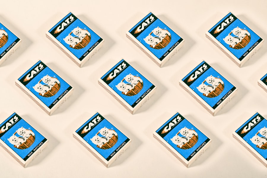 Photo indusind legend credit card